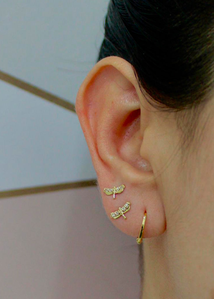 Aretes Libélula