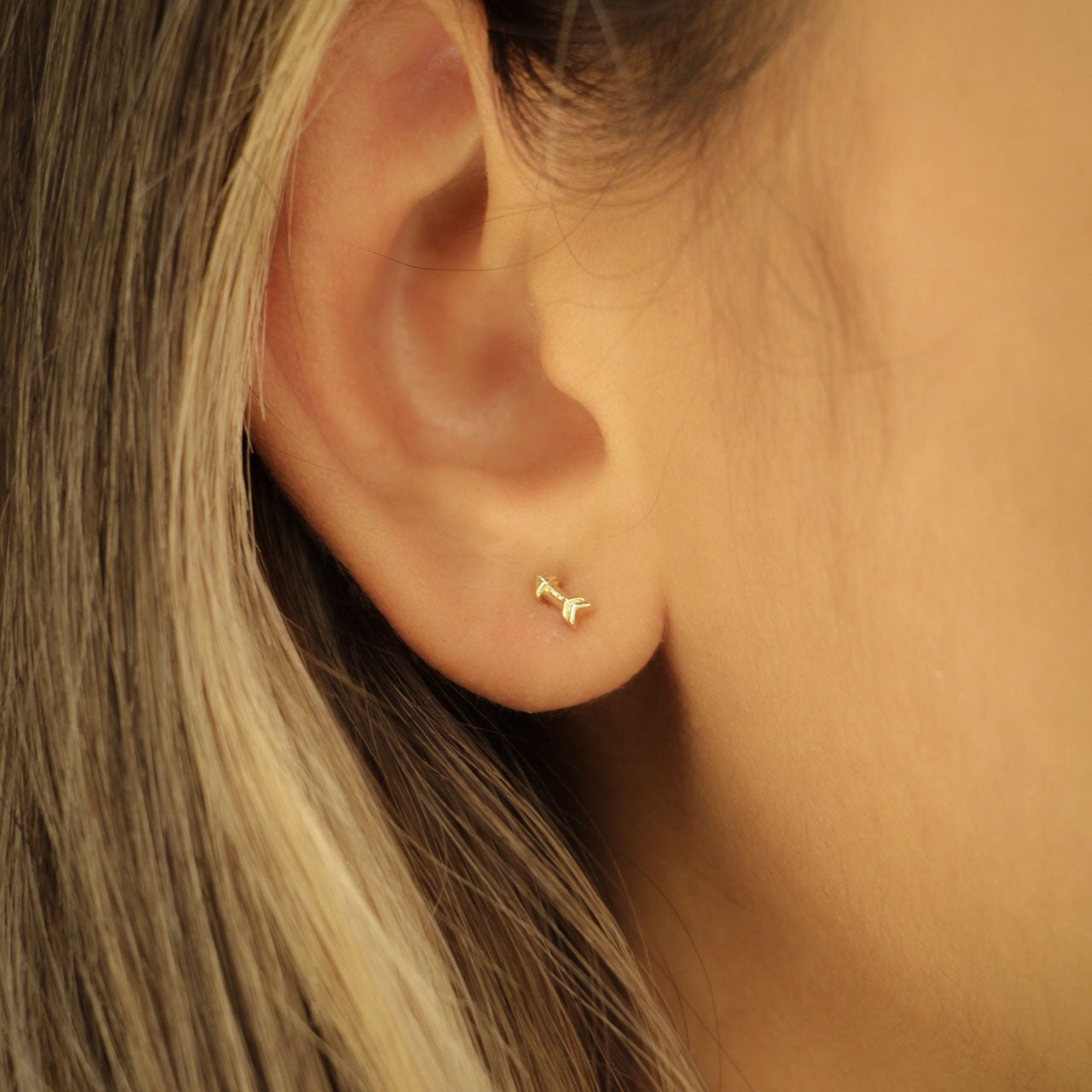 Aretes Arrow