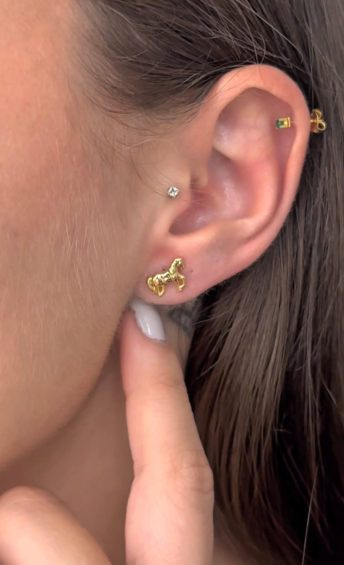 Aretes Caballo