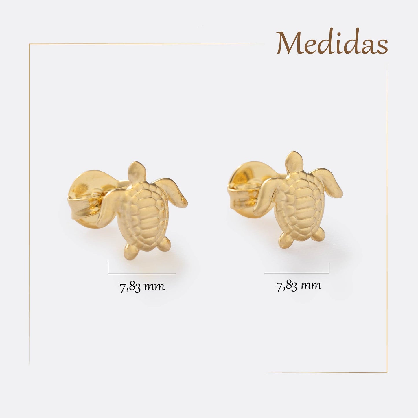 Aretes Turtle