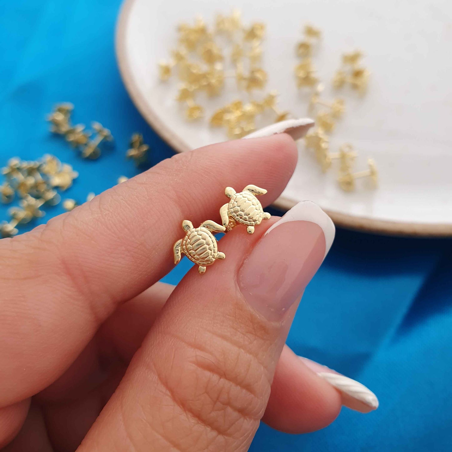Aretes Turtle