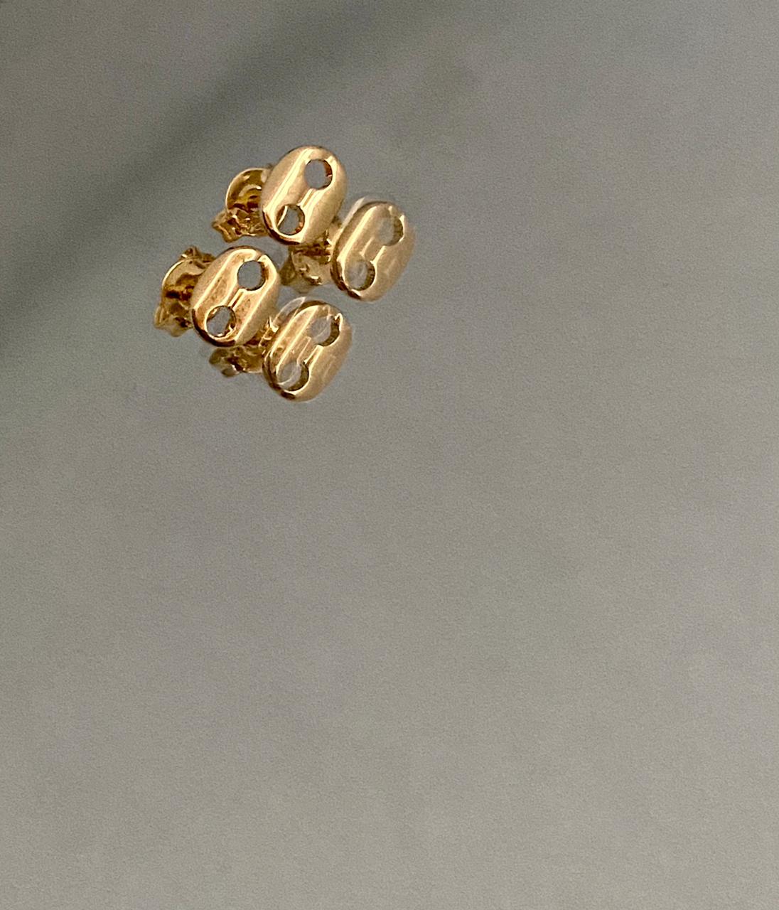 Arete Gucc1