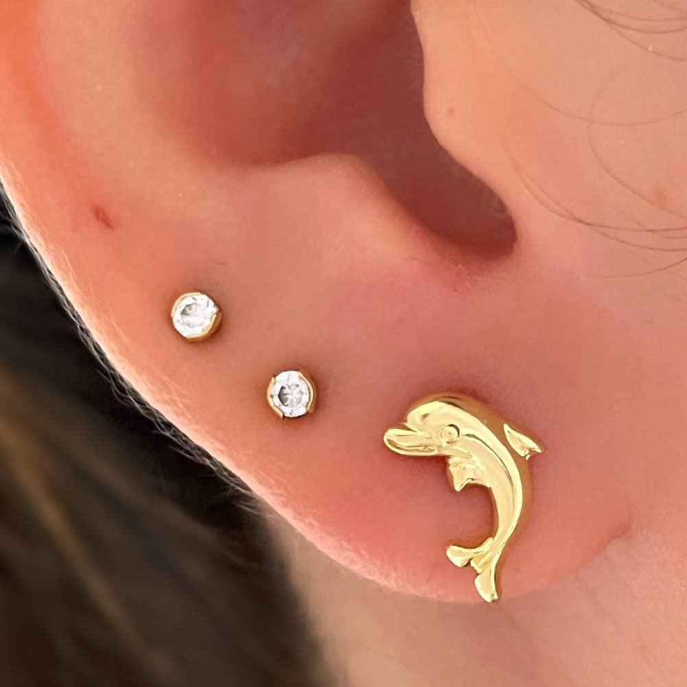 Aretes Dolphin