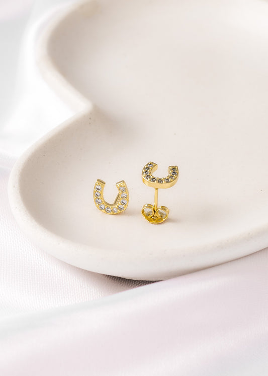 Aretes herraduras Equino