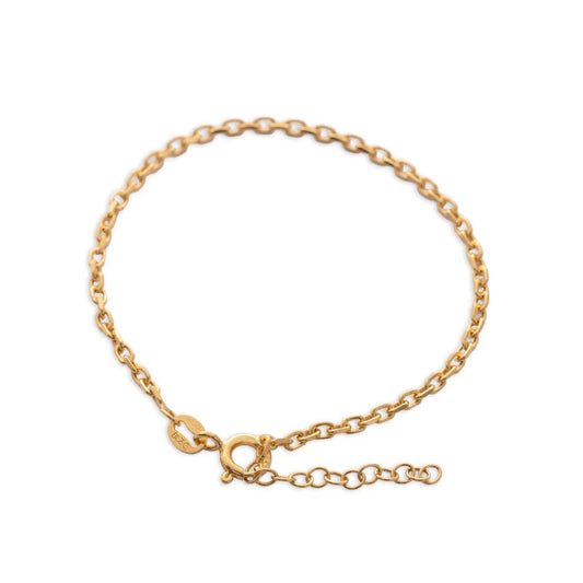 Pulsera Aros ITobillera 2 mm 15.5 Cms + Ext