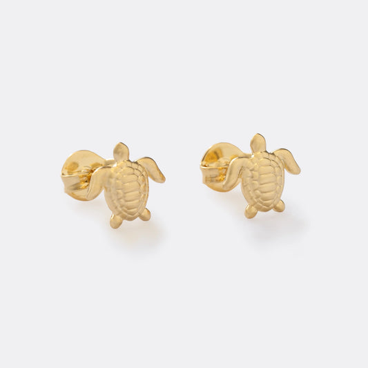 Aretes Turtle