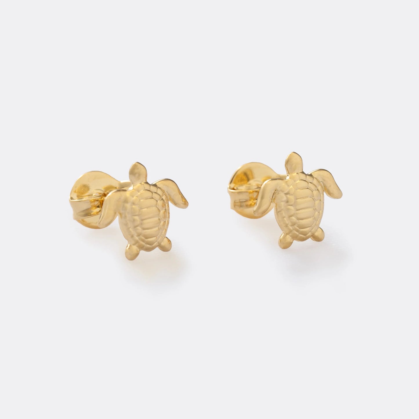 Aretes Turtle