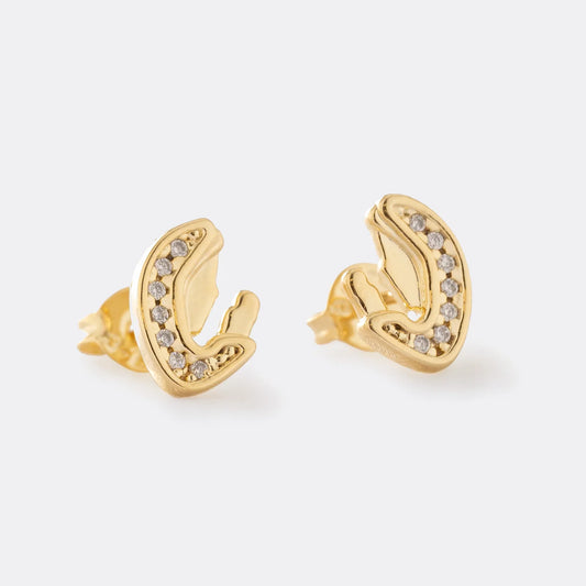 Aretes Virgen María