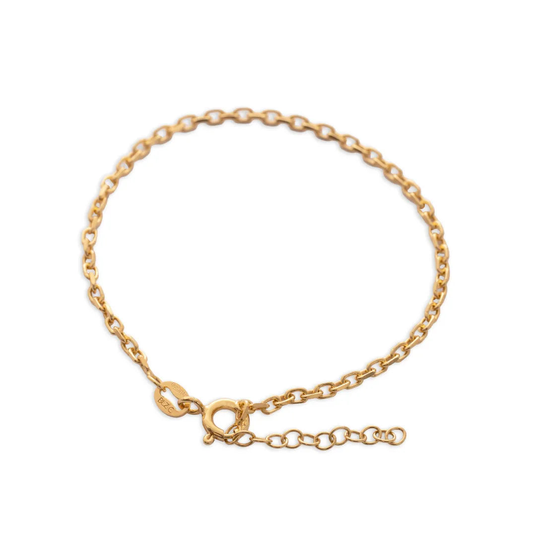 Pulsera Aros ITobillera 2 mm 15.5 Cms + Ext