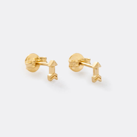 Aretes Arrow