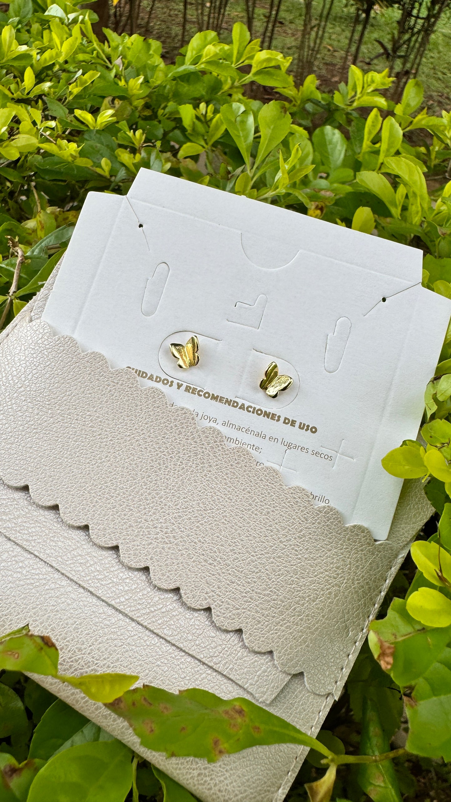 Aretes Bright Star